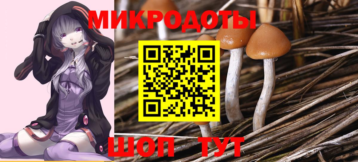 Псилоцибиновые грибы мицелий Искитим
