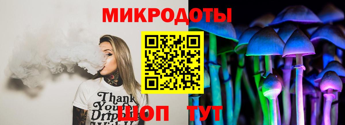 Искитим  Галлюциногенные грибы Psilocybine cubensis  Галлюциногенные грибы мухоморы  что такое   Вход с VPN 